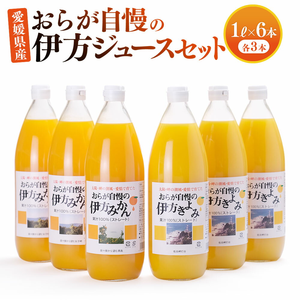 【ふるさと納税】 愛媛県産 おらが自慢の伊方ジュースセット 1L×6本 (みかん3本・きよみ3本) ストレート 果汁100％ 無添加 無着色 ドリンク 飲料 ジュース フルーツ 果物 みかん 送料無料 (286) 【えひめの町（超）推し！（伊方町）】