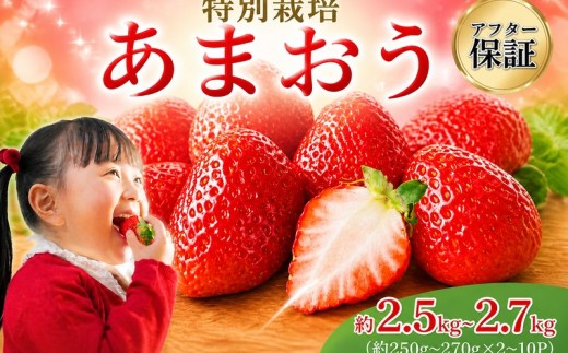 【2027年3月発送予定】【アフター保証】うるう農園特別栽培あまおう約250g~270g×10P (不揃い) 冷蔵 小分け いちご 苺 イチゴ フルーツ 果物 スイーツ くだもの 冬 春 旬 福岡 九州 福岡県 川崎町 数量限定 期間限定