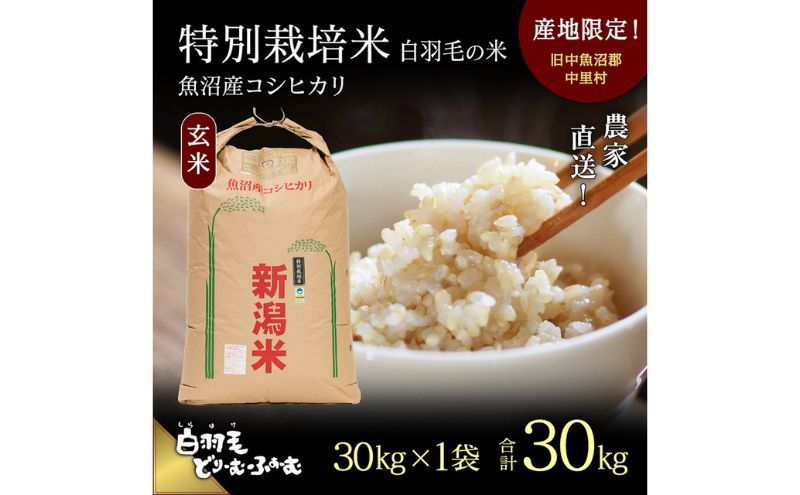 【通年受付】≪令和6年産≫　農家直送！魚沼産コシヒカリ特別栽培「白羽毛の米」玄米(30kg×1袋) 30kg