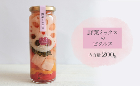 ピクルスギフト3本セット(野菜ミックス/林檎とベリー/パプリカ 各1本200g) ピクルス 野菜 パプリカ 林檎 ベリー おつまみ サラダ 漬物 手作り 添加物なし 贈答用 化粧箱入 浜松市