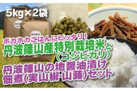 【令和6年産 新米！】丹波篠山の地醤油漬、佃煮セット　令和6年産 特別栽培米5kg×２と実山椒・山蕗 AD28