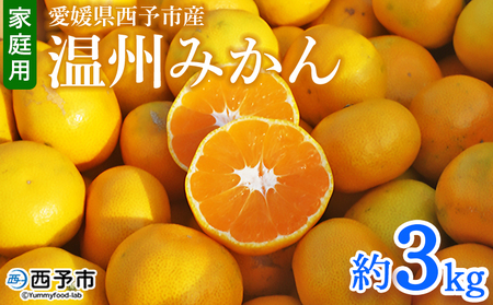 ＜愛媛県西予市産 温州みかん 家庭用 約3kg ＞ 果物 くだもの ミカン 柑橘 フルーツ 訳あり ワケアリ 旬 特産品 段畑みかん 愛媛県 西予市【常温】『2025年10月中旬～11月中旬迄に順次出荷予定』ADM0019