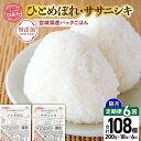 【ふるさと納税】米 6回 隔月 定期便 宮城県産 ひとめぼれ & ササニシキ パックごはん 計18個×6回 総計108個 [JA加美よつば（生活課） 宮城県 加美町 yo00004-6k ] レトルトご飯 ひとり暮らし 非常食 防災 備蓄用 パックライス お手軽 アウトドア キャンプ 米 レンチン 常備