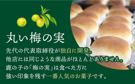 【老舗の菓子屋 鹿の子】築上銘菓「 梅の実 」15個《築上町》【有限会社　御菓子司　鹿の子】 [ABAC004] 和菓子おすすめ 人気和菓子 こだわり和菓子 自宅用和菓子 和菓子お取り寄せ 和菓子ギフ