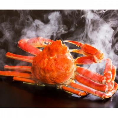 ふるさと納税 若桜町 『鳥取の冬の味覚の王者』(ボイル)松葉がに　2枚　【年内配送】 |  | 01