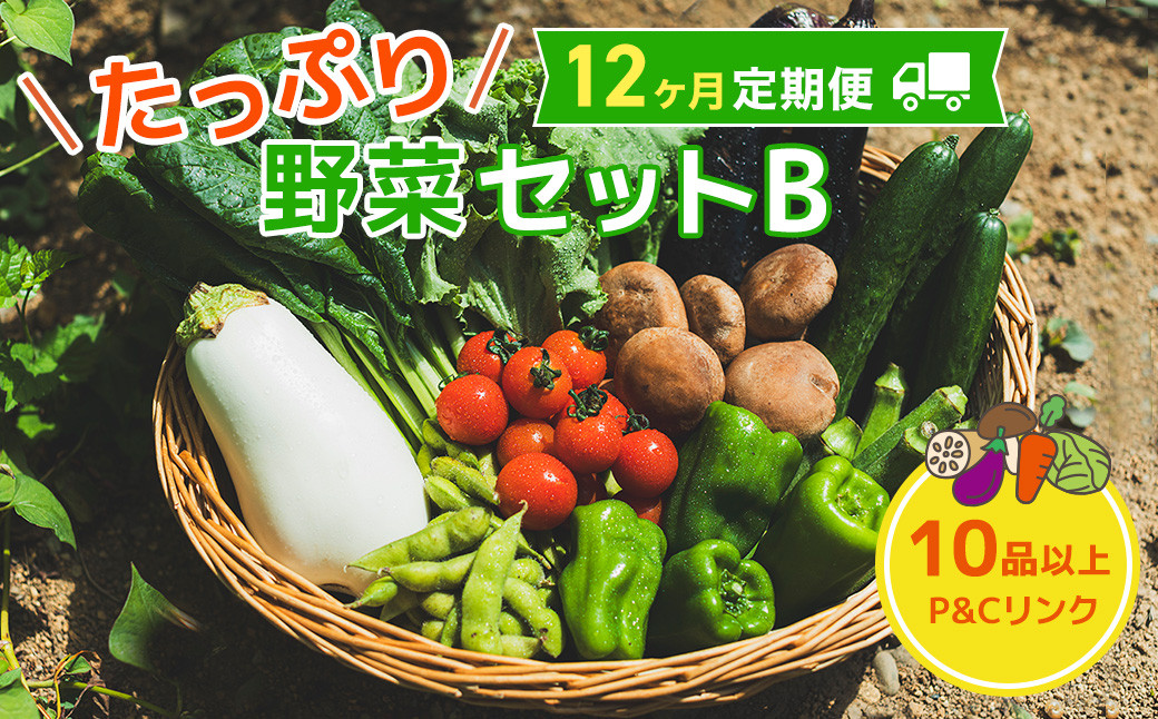 
            【12ヶ月定期便】たっぷり野菜セットB　10品 以上 季節 旬 野菜 詰め合せ 定期 国産 季節 旬 おまかせ 産地直送 春野菜 夏野菜 秋野菜 きのこ 葉物 果物 果菜 根菜 冷蔵 野菜室 ダイエット 食 栄養食 加工品 カット野菜 岩手県産 北上産 季節限定 山菜 ブロッコリー たまねぎ さつまいも とうもろこし サラダ トマト しいたけ アスパラガス 送料無料 岩手県 北上市 M0072
          