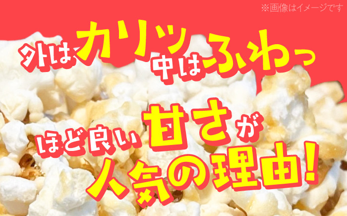 現代人にマッチしたグーな味！「マックのシュガーコーン 」10袋セット（アレルギーフリー） [ATCC007]