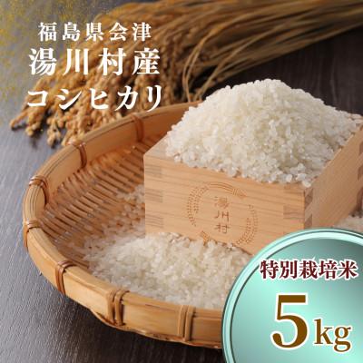 ふるさと納税 湯川村 令和8年産湯川村産コシヒカリ【特別栽培米・精米】5kg  R8.12月発送分