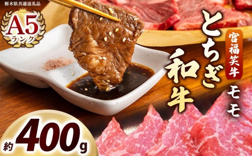 宮福笑牛(とちぎ和牛) A5 モモ焼き肉 約400g｜数量限定 黒毛 和牛 牛肉 国産牛 国産 ブランド牛 お肉 切り落とし サシ 霜降り 甘い ステーキ すき焼き しゃぶしゃぶ 焼肉 切落し 上品 アレンジ 美味しい 料理 主婦 とちぎ  栃木県 矢板市