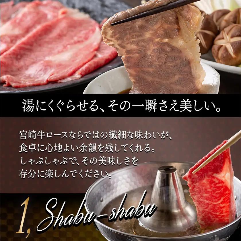 宮崎牛(A5)ローススライス500g〔AD-0102〕_(都城市) 宮崎牛ロース薄切り肉 500g×1パック A5ランク 5等級 すき焼き 国産牛肉 九州産 宮崎県産牛肉 都城産 霜降り肉 ギフト 贈