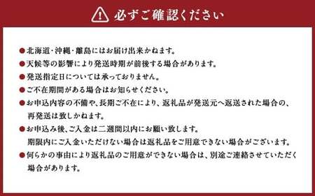 内子町産 シャインマスカット 赤秀 1房入 約750g以上【2026年8月下旬～9月下旬迄発送予定】【えひめの町（超）推し！（内子町）】（447）