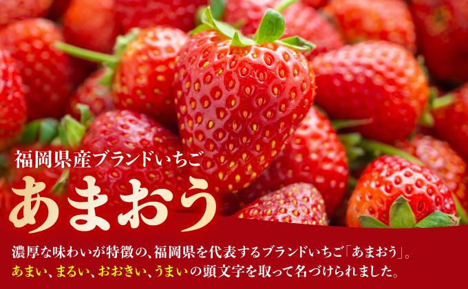 凍っても濃厚！冷凍 いちご 博多あまおう 1kg【やまや】|苺 いちご イチゴ 完熟 あかい まるい おおきい うまい フルーツ 果物 デザート 冷凍 お取り寄せ グルメ 送料無料 福岡県 那珂川市