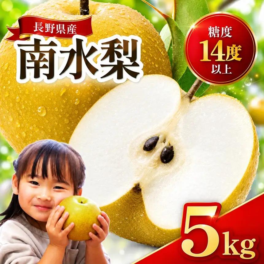 梨 南水 糖度14度以上 約5kg 【2026年9月中旬～発送】