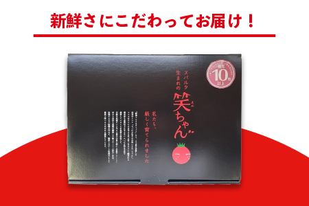 【先行予約】☆ 糖度 １0度以上 ☆ 厳選 スパルタ生まれの笑ちゃん フルーツトマト 約1kg 【GC-35】 お届け：4月中旬～6月中旬ごろ順次発送 笑ちゃん ミニトマト フルーツトマト 野菜 トマ
