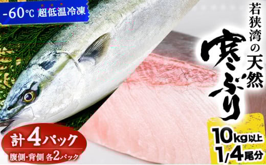 【期間限定・数量限定・先行予約】若狭湾の天然寒ブリ（生冷凍・ブロック）1/4尾分（４パック）【マイマルシェ 敦賀 天然 寒ぶり ブリ 鰤 若狭湾 天然ぶり お中元 お歳暮 ギフト 贈り物 プレゼント 旬】[090-a010]