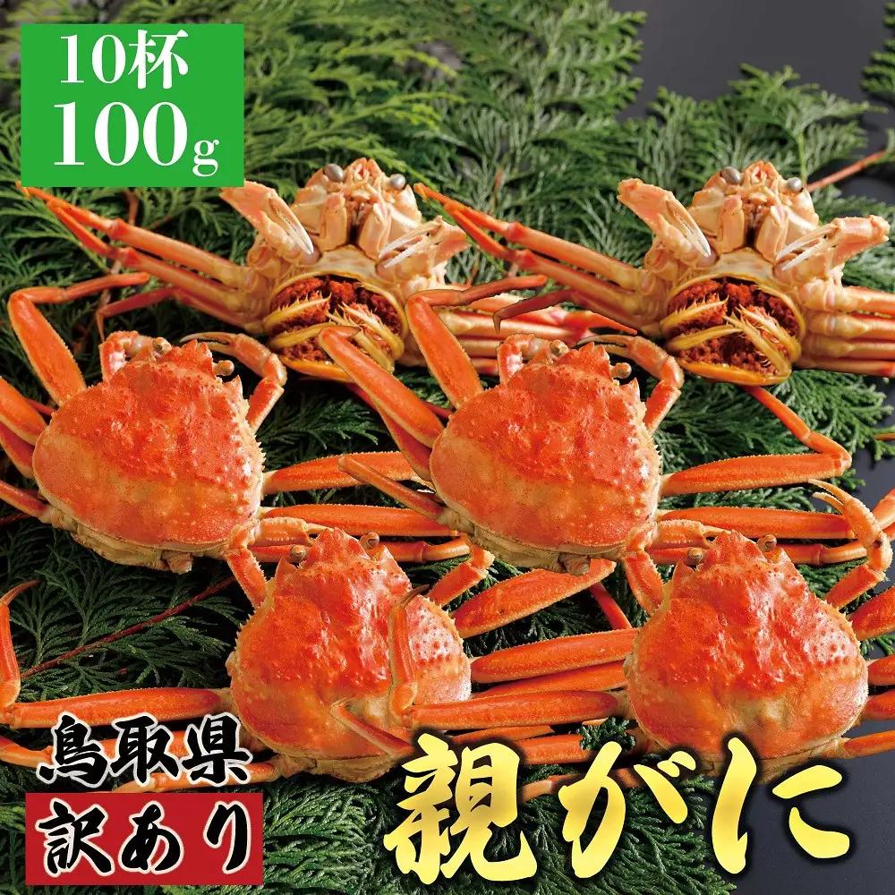 1073.【2026年12月発送】鳥取県産 特撰 親がに 姿【 セコガニ 】（茹）【訳あり】100g 10杯 | ズワイガニ ズワイガニ メス 蟹