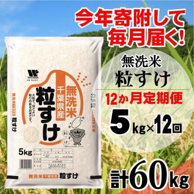 ふるさと納税 大網白里市 【毎月定期便】粒すけ 無洗米 5kg (5kg×1袋)全12回