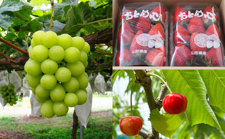 【定期便3回】☆フルーツ王国山形☆『シャインマスカット、いちご、紅秀峰』 FY25-316