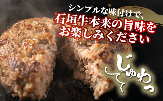 石垣牛 ハンバーグ セット (100g×10個)＜2026年7月発送＞【国産 石垣牛100% 沖縄 石垣島産 高級 黒毛和牛 ビーフ ハンバーグセット 】A-06_07