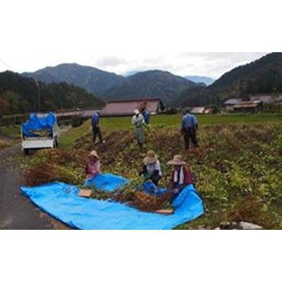 ふるさと納税 南木曽町 南木曽産えごま油　生しぼり110ml　2本セット |  | 03