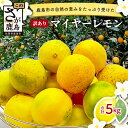 【ふるさと納税】【訳あり】【産地直送】【農家直送】佐賀県鹿島市産 マイヤーレモン 5kg サイズ混合 酸味 美味しい お酒 生絞り 料理 お菓子 家庭用 【9月～2月頃まで配送】 A-191