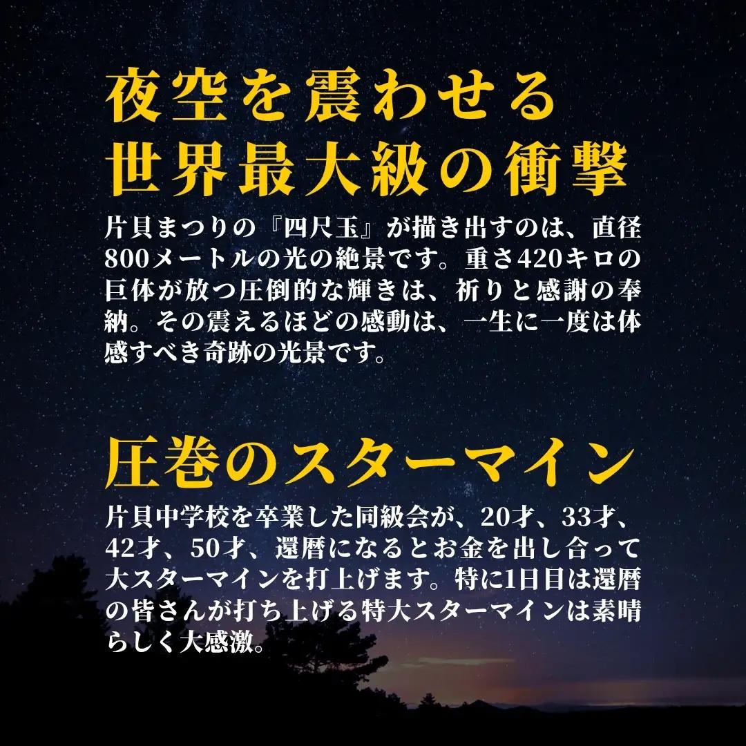 【先行予約 令和8年9月12日(土)】世界一を体感！片貝まつり花火大会 桟敷席チケット (1名様分) | 花火 新潟県 小千谷市