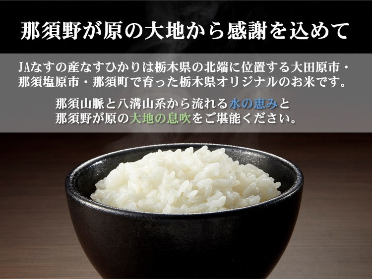 令和6年産 栃木県産 なすひかり 10kg JAなすの産地直送【大田原市・那須塩原市・那須町共通返礼品】〔C-75〕　※離島への配送不可