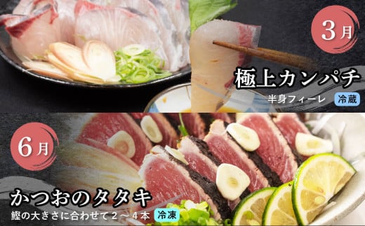 厳選! 4ヶ月 お楽しみ定期便 刺身 定期便 小島水産 がお届けする! 美味しい お刺身 全4回 4か月 4カ月 コース 毎月お届け 冷蔵 冷凍 鮮魚 海鮮 下処理済 産地直送 新鮮 鰤 ブリ 勘八 