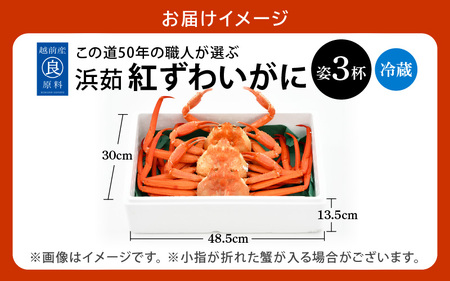 かに 紅ずわいがに≪浜茹で≫ × 3杯 この道50年の職人が選びました！【6月発送分】【カニ 蟹 姿 冷蔵 福井県】【紅ズワイガニ 紅ずわい蟹 ボイル】希望日指定可 備考欄に希望日をご記入ください [