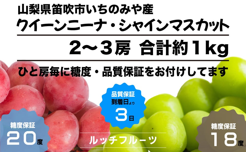 
            【全房糖度保証付】希少品種クイーンニーナとシャインマスカット食べ比べ 合計約1kg 2～3房【2025年発送】＜数量限定＞旬の美味しいフルーツだけをお届けします【ルッチ Rucci】産地直送 山梨県 笛吹市 果物 葡萄 ぶどう 赤ブドウ 赤系 人気 ギフト ランキング リピート 高評価 ギフト 贈答 贈り物 化粧箱 2025年 令和7年 先行予約 期間限定 104-009
          