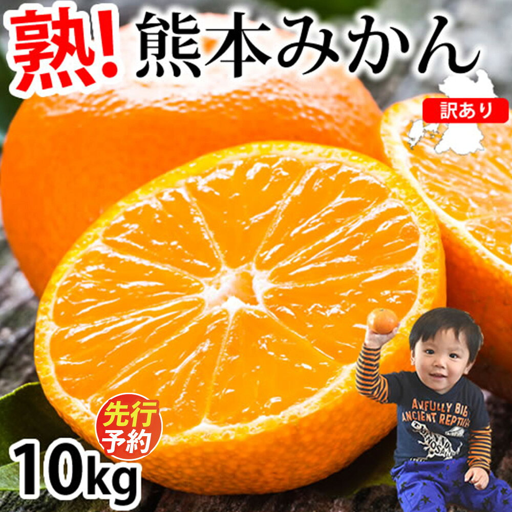 【ふるさと納税】 訳あり みかん 10kg ご自宅用 サイズ不選別 蜜柑 柑橘 果物 くだもの フルーツ 果実 おやつ 露地栽培 熊本市 国産 冷蔵 送料無料【2026年10月上旬～2027年3月上旬発送予定】