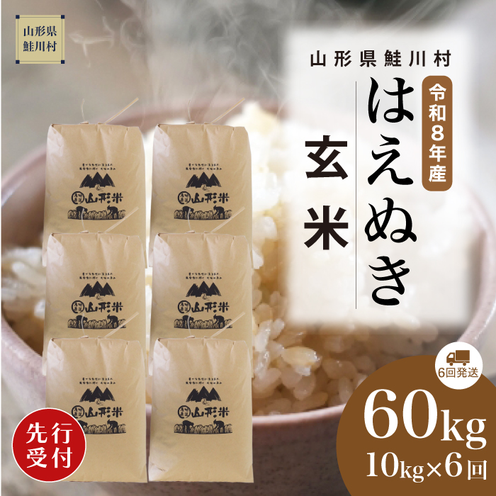 ＜令和8年産米先行受付＞ 山形県産 はえぬき 【玄米】60kg定期便(10kg×6回)　配送時期指定できます！