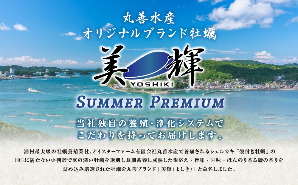 期間限定 三倍体牡蠣 生食用 鳥羽浦村牡蠣