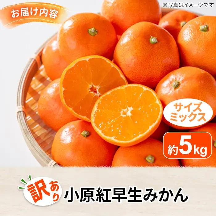 ＜先行予約！2026年12月上旬以降順次発送予定＞＜訳あり・家庭用＞香川県産 小原紅早生みかん(約5kg/サイズミックス) 国産 果物 フルーツ みかん ミカン 柑橘 新鮮 【man089-A】【Ag