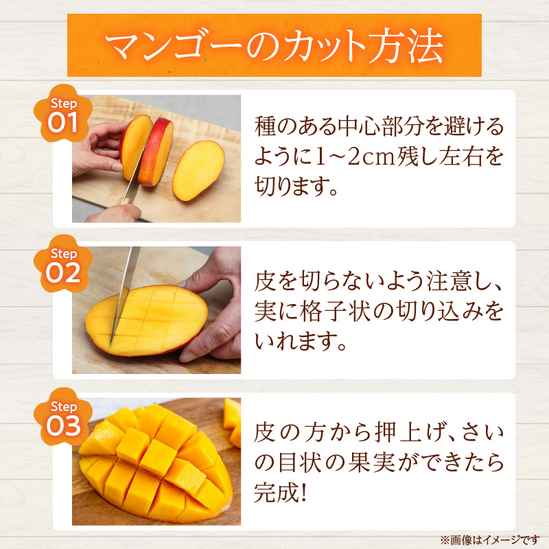 BD106-25_数量限定 宮崎県産 完熟マンゴー 2玉 約500g 期間限定 フルーツ スイーツ 果物 くだもの 食品 グルメ デザート 国産 産地直送 人気 おすすめ 宮崎県 日南市 送料無料_イ