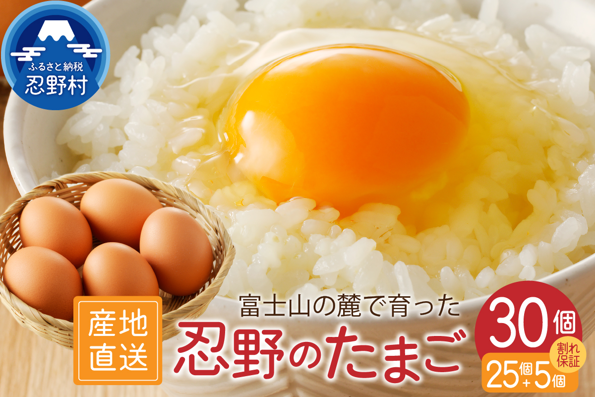 富士山の麓で育った産地直送 ”忍野の卵” ※卵25個+割れ保証5個　計30個