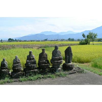 ふるさと納税 南魚沼市 令和6年産 《語り伝えられる地》南魚沼しおざわ産コシヒカリ5Kg(白米) |  | 02