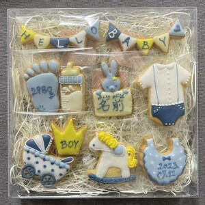 【名入れ可】出産祝いアイシングクッキー(10個入り・ブルー)【1637974】