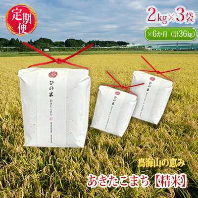 【ふるさと納税】米 お米 《定期便》6kg×6ヶ月 秋田県産 あきたこまち 精米 2kg×3袋 神宿る里の米「ひの米」（お米 小分け）　霊峰 鳥海山 自然 高原 冷涼 濃い味 新鮮 美味しい