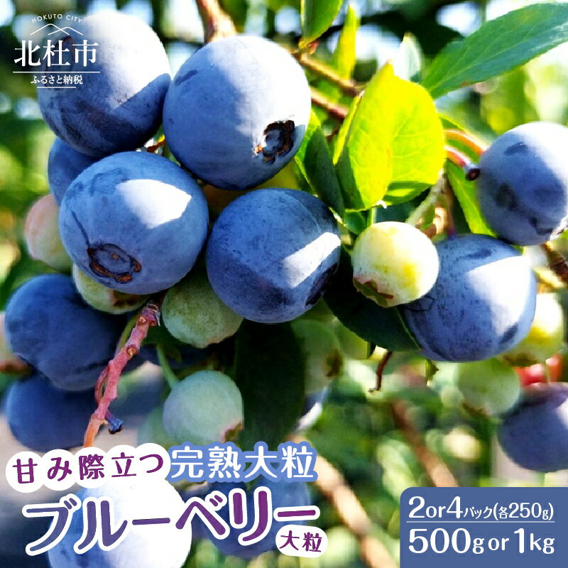 【ふるさと納税】 ブルーベリー 完熟 大粒 【2026年先行予約】 選べる容量 計500g 計1kg ラビットアイ・ブルーベリー 甘い フルーツ くだもの 冷蔵 ヨーグルト パンケーキ トッピング 期間限定 7月～8月発送 山梨県 北杜市 送料無料