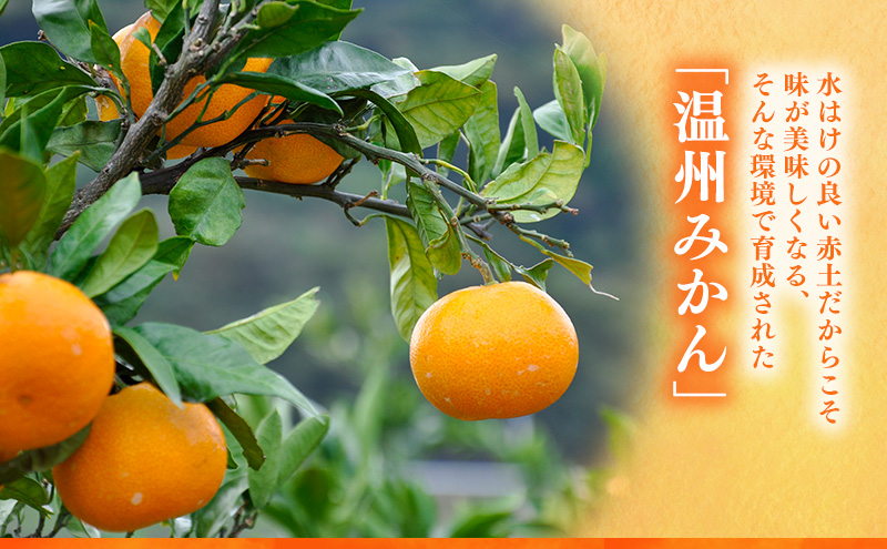 後藤みかん農園 温州みかん 3kg 宮川 片山 果物 くだもの 旬のフルーツ 旬の果物 季節のフルーツ 季節の果物 柑橘 柑橘類 静岡 浜松市