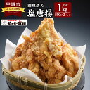 【ふるさと納税】塩唐揚（調理済み）約500g×2P 計 約1kg からあげ 唐揚げ 1個60g以上 特大唐揚 冷凍 国産 九州 熊本県 宇城市 送料無料