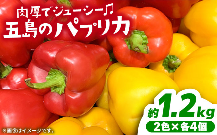 【肉厚ジューシー】五島のパプリカ 約1.2kg 五島市/HPIファーム [PCP007]