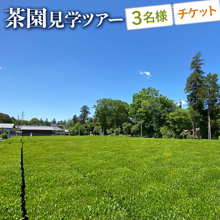 【ふるさと納税】茶園見学ツアー3名様チケット | 体験 茶園 老舗 さしま茶 猿島茶 和紅茶 いずみ 吉田茶園 茨城県 古河市 関東 送料無料 _BM07