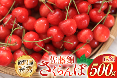 【期間限定発送】 さくらんぼ 置賜産 佐藤錦 特秀 L～3L 500g [JA山形おきたま 山形県 高畠町 tk06ays870050]