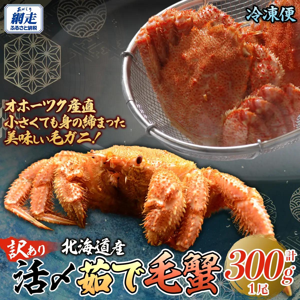 【訳あり】活〆茹で毛蟹1尾 約300g 【ふるさと納税 人気 おすすめ ランキング カニ かに 蟹 毛がに 毛蟹 毛ガニ 活〆 茹で 茹で毛ガニ 活〆毛ガニ 活〆毛がに 訳あり 海鮮 オホーツク 北海