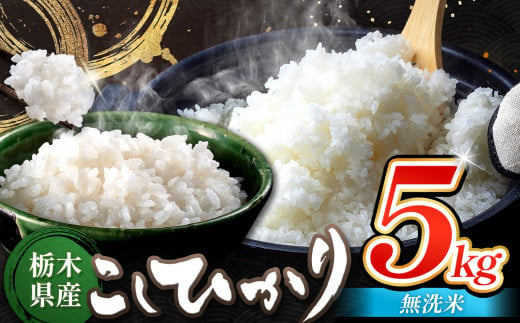 栃木県産 コシヒカリ 無洗米 5kg | お米 こめ ご飯 ごはん おにぎり おむすび 米 送料無料 定期便 単品 こしひかり 栃木県 銘柄米 ブランド米 栃木県共通返礼品