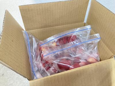 冷凍 いちご 1.2kg 400g × 3袋 いちご