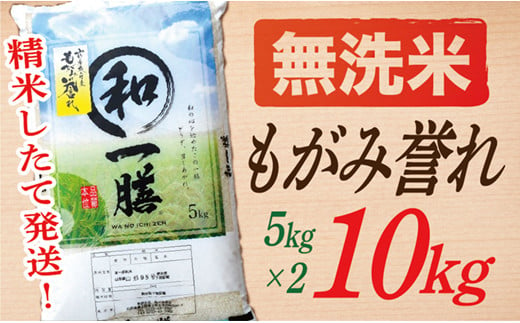 【令和6年産】【無洗米】山形県産もがみ誉れ10kg