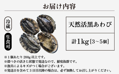 日本海若狭湾の 天然 活黒アワビ 計1kg (3～5個) 大サイズ 鮮度抜群 刺身 お造り バター焼き BBQ あわび アワビ 鮑 クロアワビ 黒あわび【2024年8月31日まで発送】[m17-j00